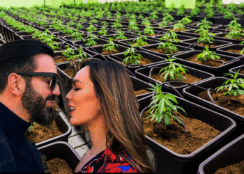 SKANDAL NË AUSTRALI! Aktori Elvis Pupa dhe Influencereja Belina: “Shtëpi Bari” me 43 Bimë Kanabisi dhe… Njëri Në Kërkim!