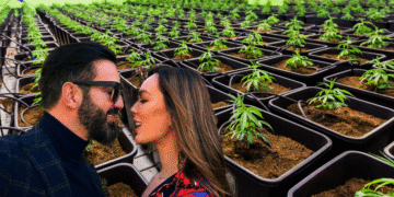 SKANDAL NË AUSTRALI! Aktori Elvis Pupa dhe Influencereja Belina: “Shtëpi Bari” me 43 Bimë Kanabisi dhe… Njëri Në Kërkim!