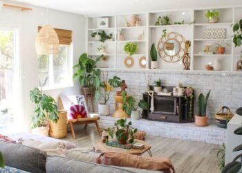 Bimë që freskojnë shtëpinë gjatë verës – Zgjidhje natyrale për ambiente të shëndetshme