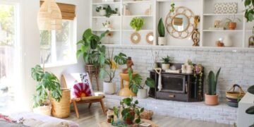 Bimë që freskojnë shtëpinë gjatë verës – Zgjidhje natyrale për ambiente të shëndetshme