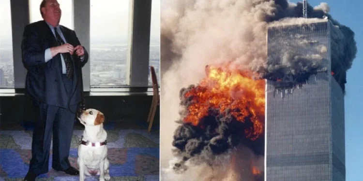 Roselle, Qeni Heroik që Udhëhoqi Pronarit të Verbër Drejt Jetës nga Kati i 78-të në 11 Shtator