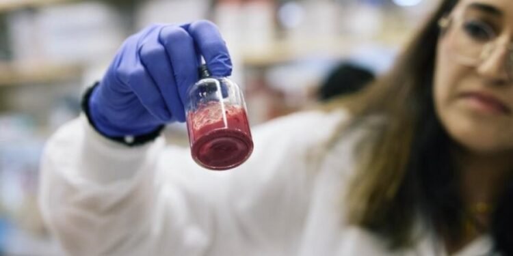 Gjaku artificial në formë pluhuri: Zgjidhja që shpëton jetë në vendngjarje